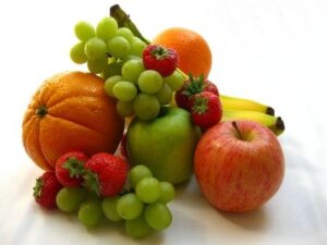 Gnat and fruit fly prevention |  Any Pest