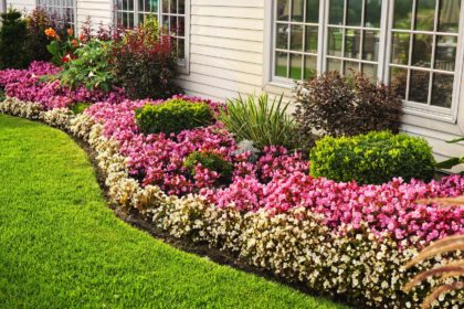 landscape flowers Landscaping Flowers | Summer Pest Control | Any Pest Inc.