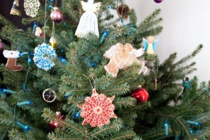 christmas-tree-pest-free