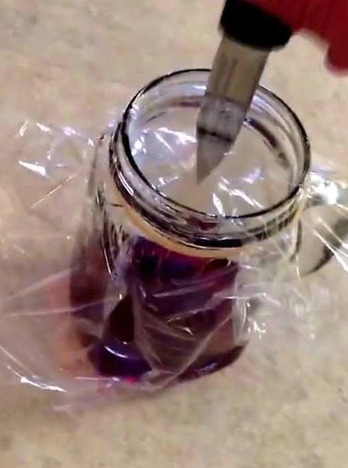 red wine homemade fruit fly trap | Any Pest Inc.