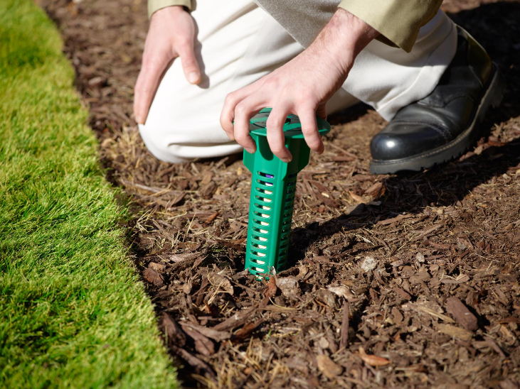 are termite bait stations safe for dogs