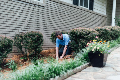 AnyPest (27 of 174) Signs of Termites at Home | AnyPest Inc.