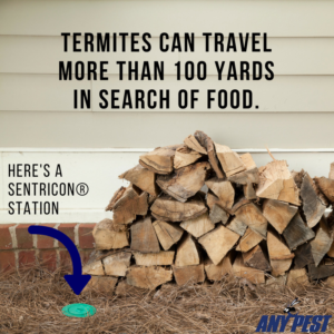 Any Pest Termite Control | Sentricon System Termites
