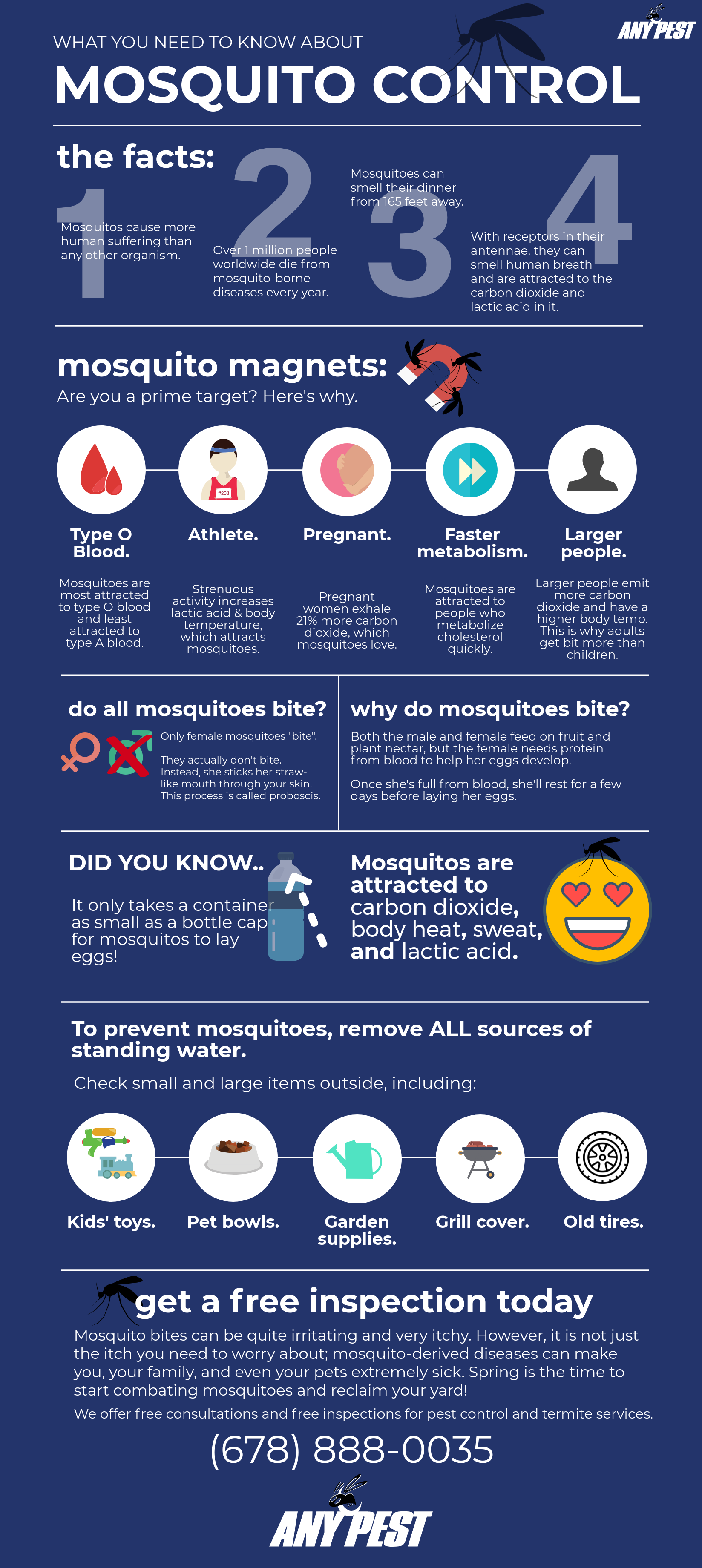 Any Pest Mosquito Infographic