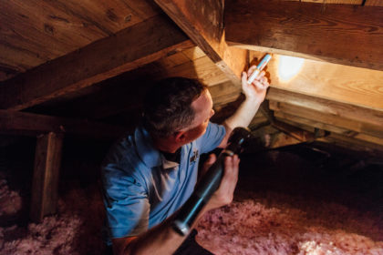Noises In The Attic Or Walls How To Get Rid Of Roof Rats Any Pest Inc