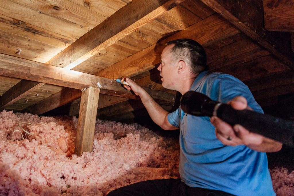 Noises in the Attic or Walls? How to Get Rid of Roof Rats