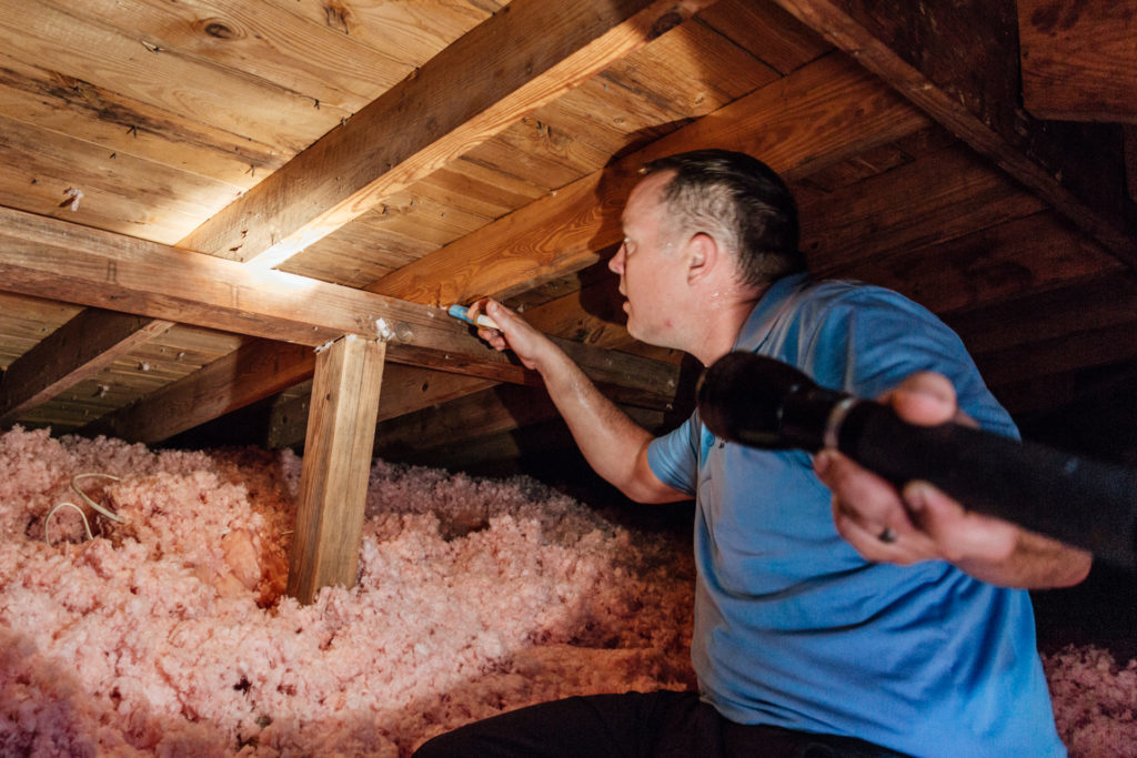Noises In The Attic Or Walls How To Get Rid Of Roof Rats Any Pest Inc 