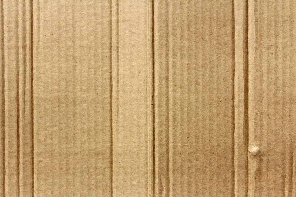 Pest-Proof Your Cardboard | Any Pest