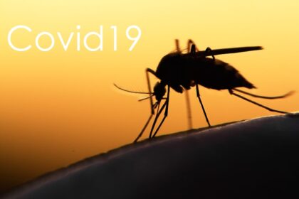 Coronavirus From Mosquitoes | Any Pest