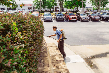 Commercial Pest Control For Your Business | Any Pest