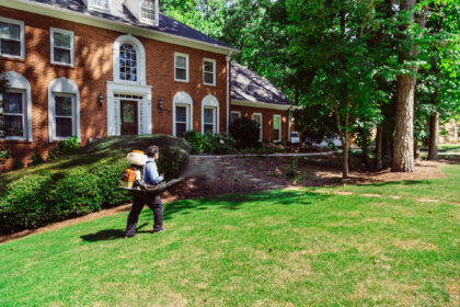 Protect Your Home and Business Against Pests