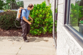 Commercial Pest Control Service | Any Pest