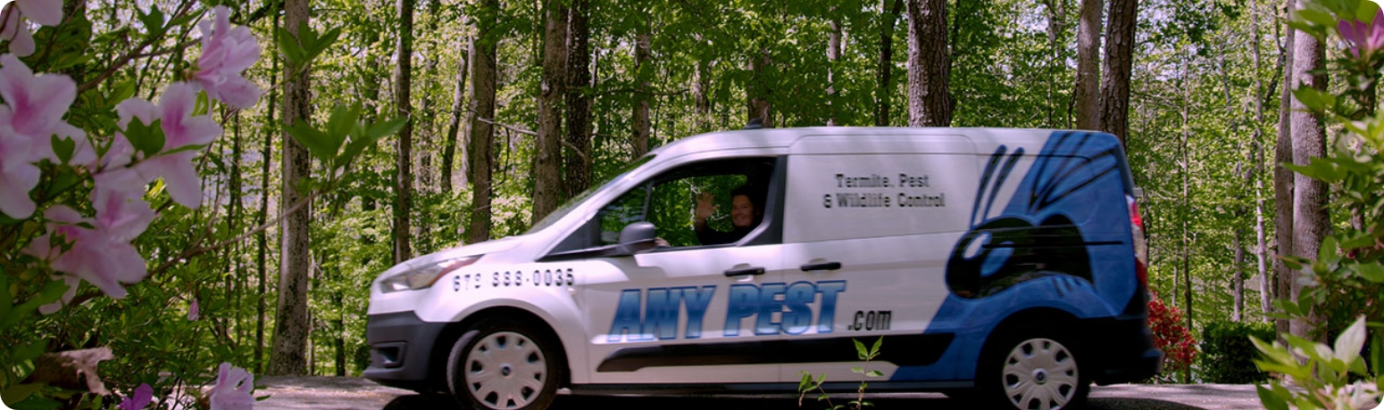Any Pest Truck | Any Pest