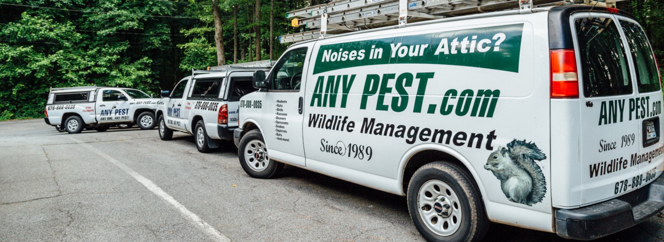 Contact us | Any Pest Inc