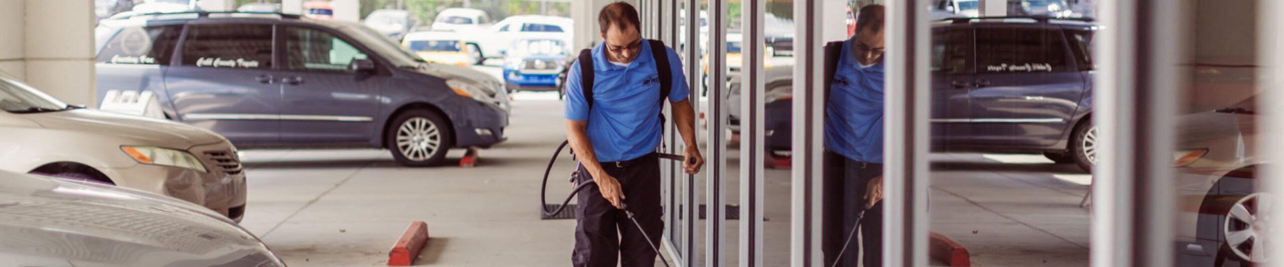 Commercial Pest Control | Any Pest