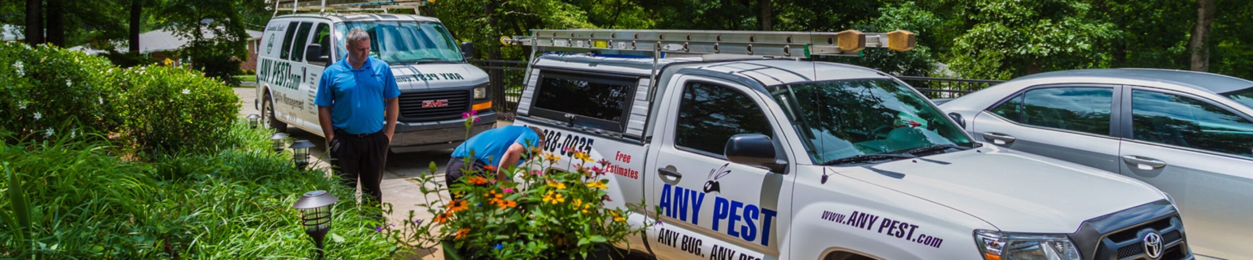 Customer Reviews for Any Pest | Any Pest Inc