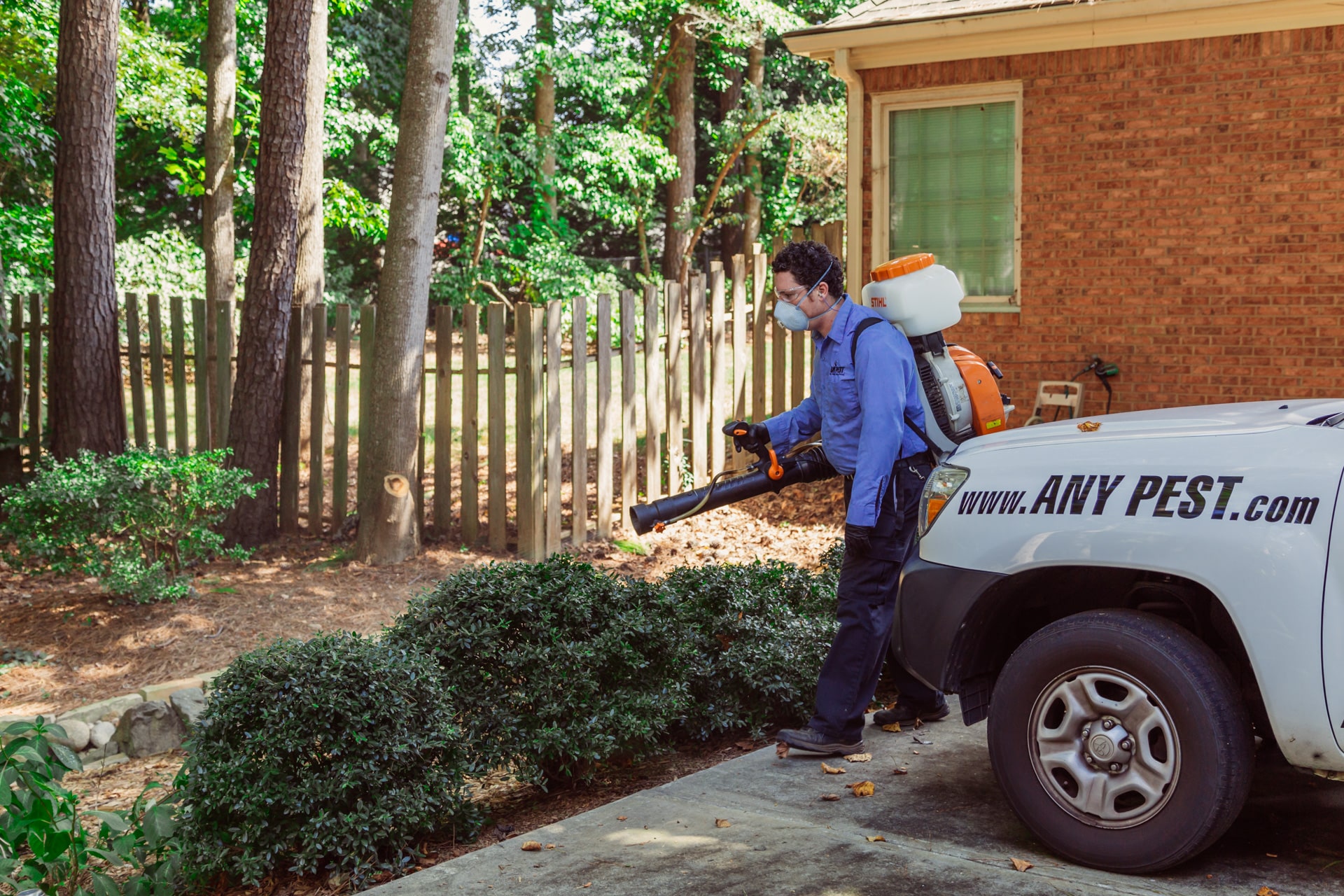 Pest Control in Canton | Any Pest